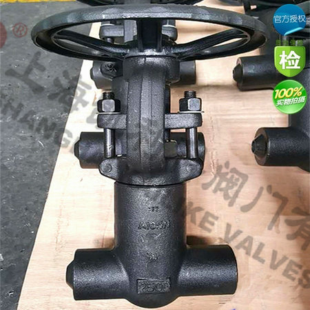 Z61Y、Z41Y鍛鋼自密封閘閥