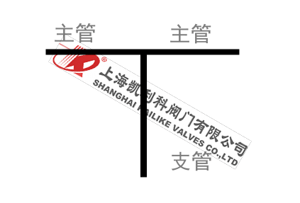正反折流T型過(guò)濾器管路支管圖